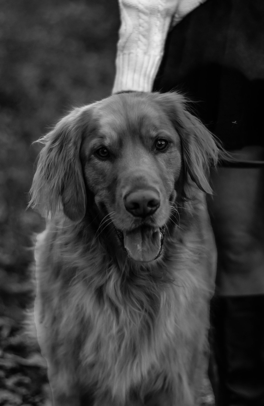 Selected portfolio photograph — 4